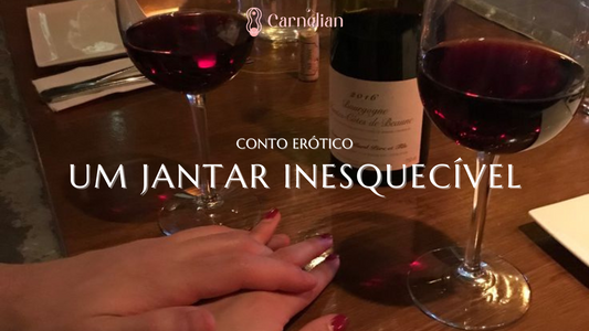 Conto Erótico: Um jantar inesquecível