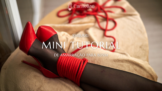 mini tutorial de shibari